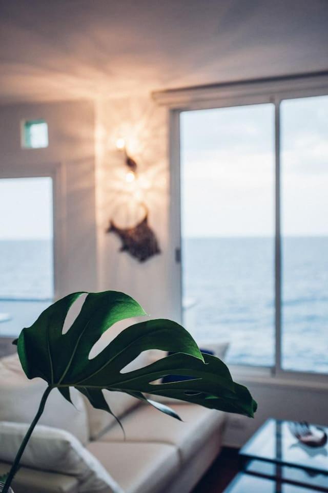 Canary Casita Next To The Atlantic Ocean Radazul Chambre photo